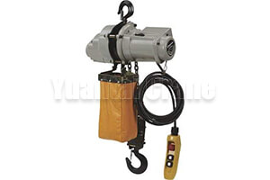 Strongway hoist